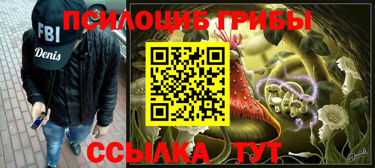 Людиново  Галлюциногенные грибы мухоморы  Вход с VPN 